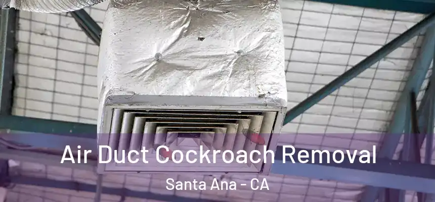 Air Duct Cockroach Removal Santa Ana - CA