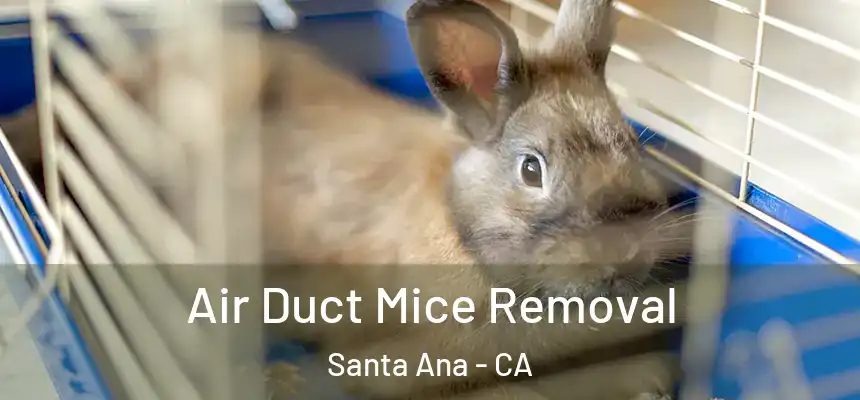 Air Duct Mice Removal Santa Ana - CA