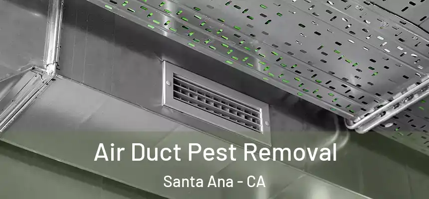 Air Duct Pest Removal Santa Ana - CA