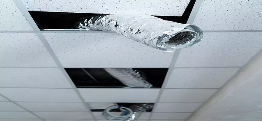 Our Air Duct Pet Hair Removal Services in Santa Ana, CA