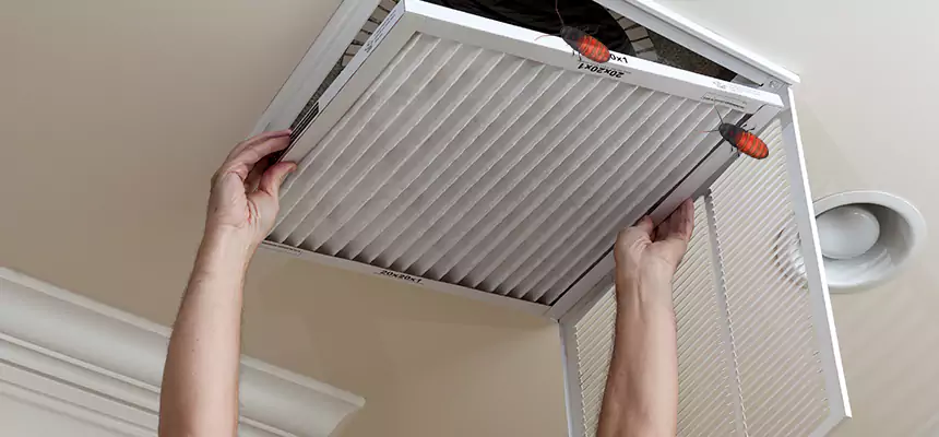 Our Insect Removal from Air Ducts Services in Santa Ana, CA