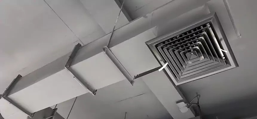 Our Pest Removal From Ducts Services in Santa Ana, CA