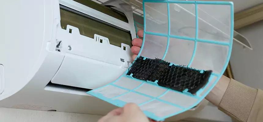 Gentle Ductwork Odor-Control Pet Dander Duct Cleaning in Santa Ana, CA