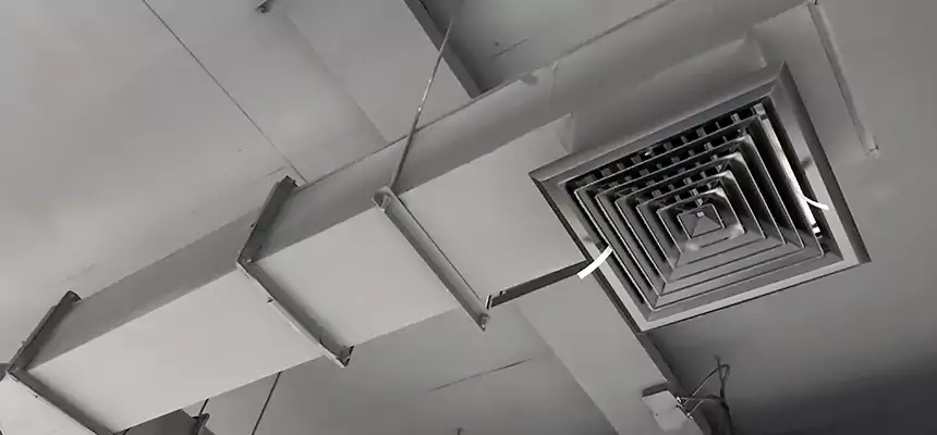 Our Rodent Droppings In Vents Services in Santa Ana, CA