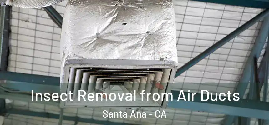Insect Removal from Air Ducts Santa Ana - CA