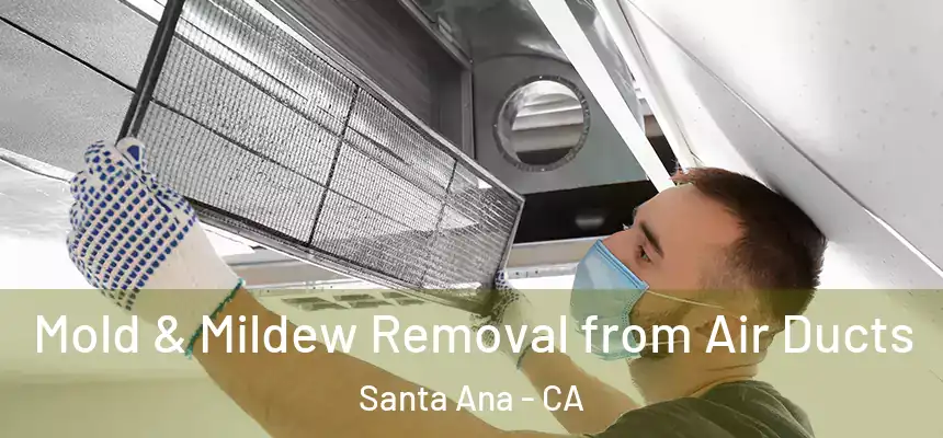 Mold & Mildew Removal from Air Ducts Santa Ana - CA
