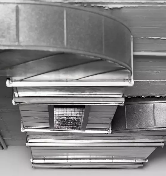 Professional Air Duct Pet Hair Removal in Santa Ana, CA