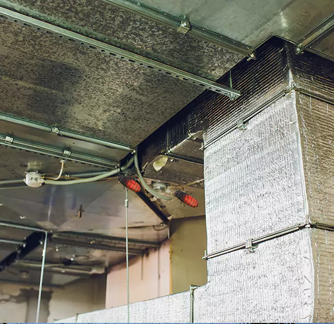 Why Homeowners & Businesses Trust Us in Santa Ana, CA?