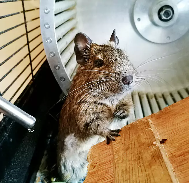 Why Homeowners & Businesses Trust Us Santa Ana, CA