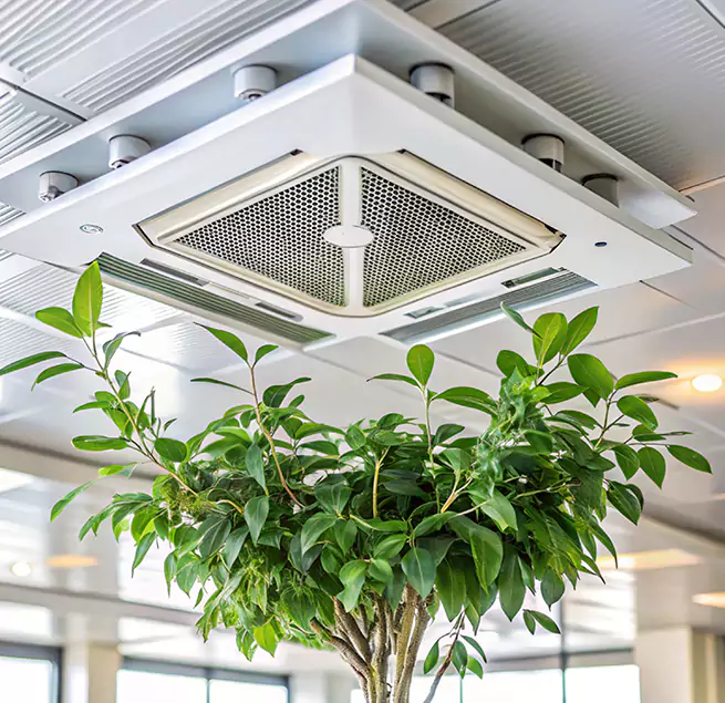 Why Homeowners & Businesses Trust Us in Santa Ana, CA?