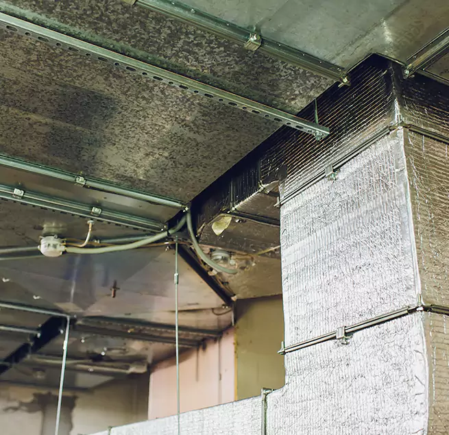 Why Homeowners & Businesses Trust Us in Santa Ana, CA?